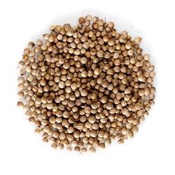 CORIANDER WHOLE 500GM (12) ILUKA